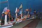 Dragon Boats awaiting Awakening